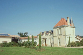 Saint-Émilion: Family Vineyard Visit with Wine Tasting