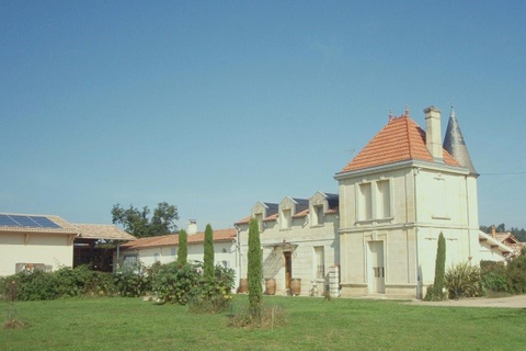 Saint-Émilion: Family Vineyard Visit with Wine Tasting Visite Anglais