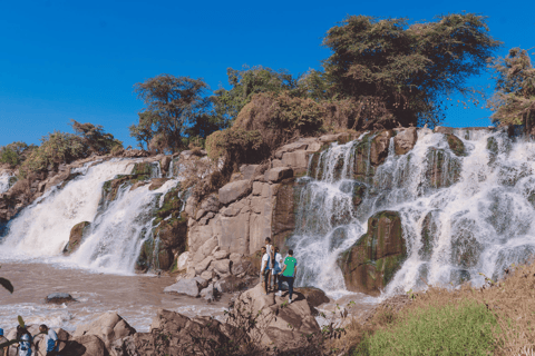 Addis Ababa: 3 Days Awash National park Safari Tour