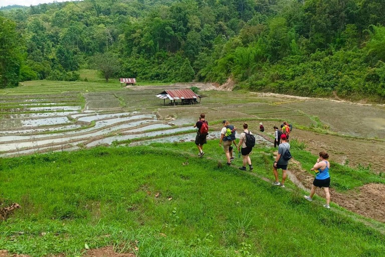 Chiang Mai: Jungle Trek, Elephants care & Bamboo Rafting