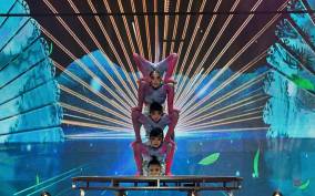 Beijing: Acrobatic Show Ticket with Transfer & Options