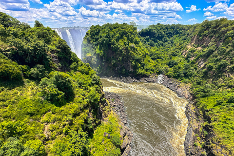 Från Victoria Falls: Historisk bro-tur