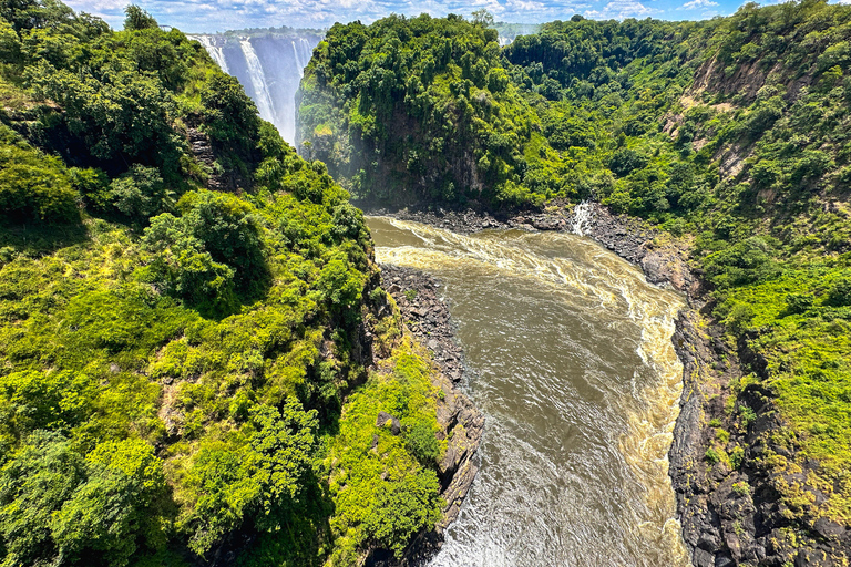 Från Victoria Falls: Historisk bro-tur