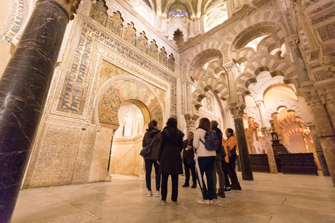 Visitor Center, Mosque-Cathedral, Alcázar (gardens), and Jewish Quarter Mosque-Cathedral Visitor Center: Private Guided Tours