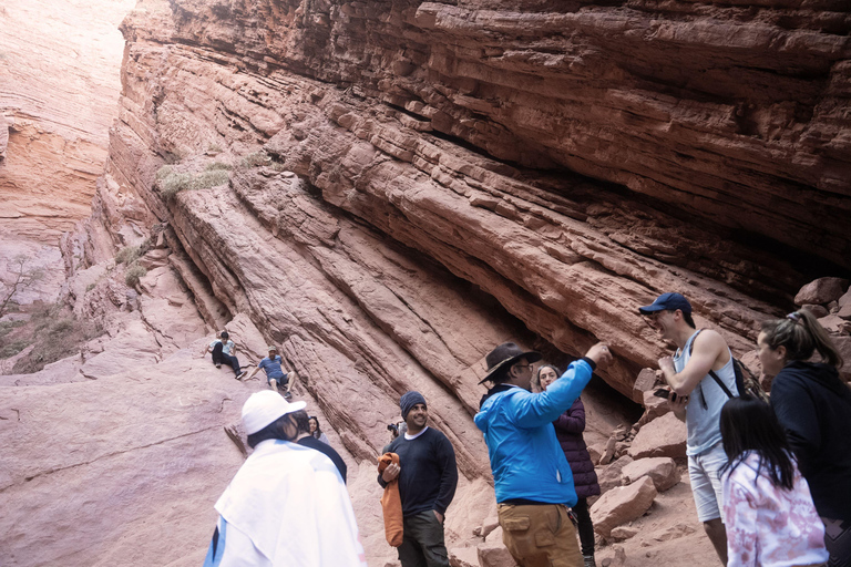 Cafayate: Tour de dia completo por bodegas y degustacion de vinos