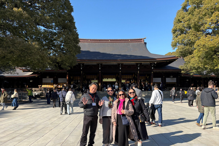 Tokyo: Private Half-Day Tour by Car with Local Guide Premium Van 6 pax
