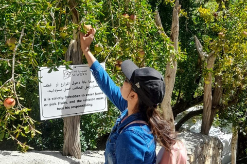 From Muscat: Jebel Akhdar Overnight Camping with Meals
