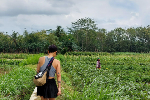 Yogyakarta Imogiri Cycling and Village Tour