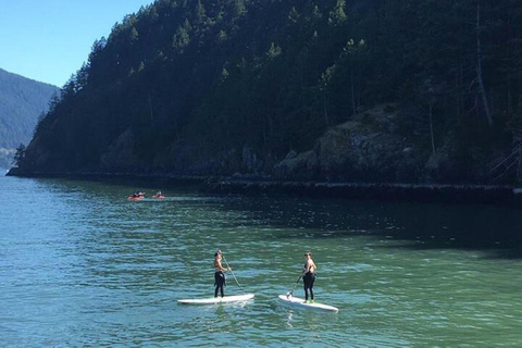 Vancouver: Poranny rejs kajakiem i rejs z fokamiWest Vancouver: Poranny rejs kajakiem i rejs z fokami