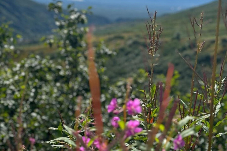 Hatcher Pass & Reindeer Adventure Tour – Anchorage Pickup