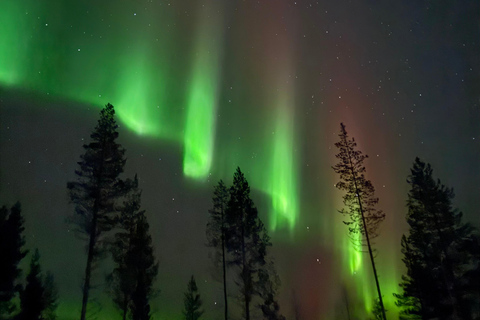 Rovaniemi: Guaranteed Northern Lights & Photography Tour
