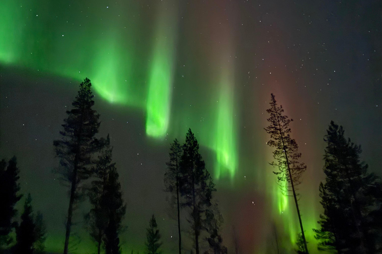 Rovaniemi: Guaranteed Northern Lights & Photography Tour