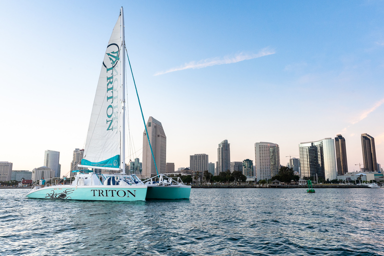 2.5 Hour Bay Tour on the Largest Catamaran in San Diego