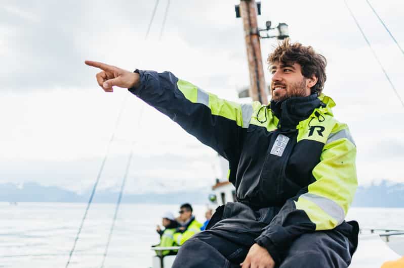 Húsavík WhaleWatchingTour mit Guide GetYourGuide