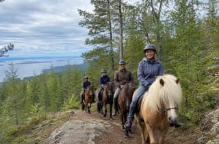 Koli: Geführter Ausritt auf Islandpferden in der finnischen Natur