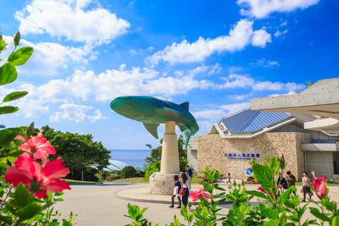 Naha: North Okinawa BusTour & ChuraumiAquarium, Cape Manzamo Cape Manzamo, Churaumi Aquarium & American Village 1Day Tour