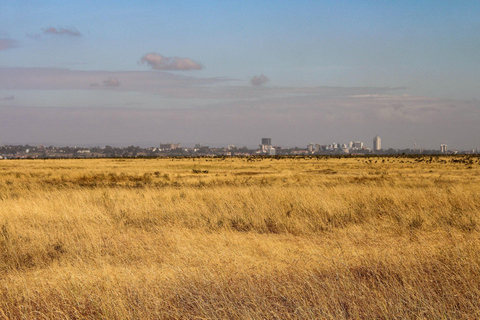 Nairobi: National Park Private Tour with Lunch at Carnivore Nairobi: National Park Private Tour without Lunch