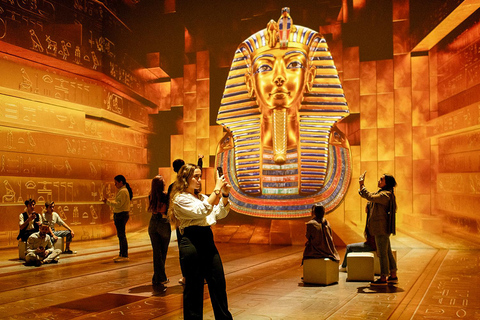 Grand Egyptian Museum Half Day Tour With Entry Tickets