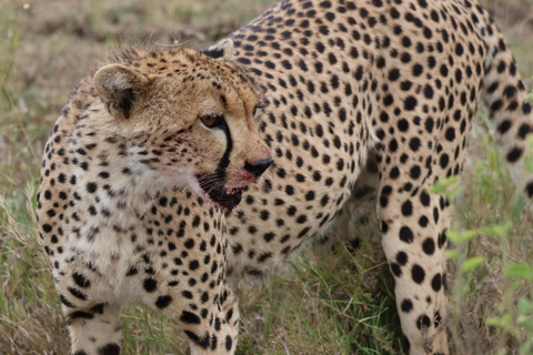 12 Days Tanzania Adventure: Safari, Culture &amp; Mountains