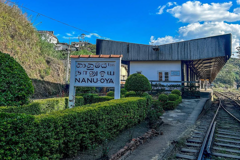 Ella To Kandy Private Transfer With Train Ride Experience