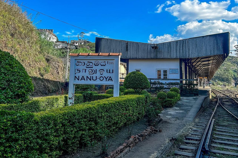 Ella To Kandy Private Transfer With Train Ride Experience