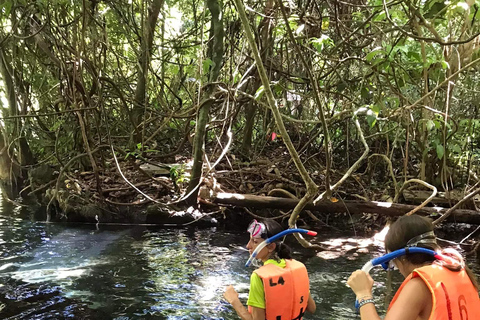 Krabi: Spływ kajakowy Amazon Klong Srakaew i karmienie słoni