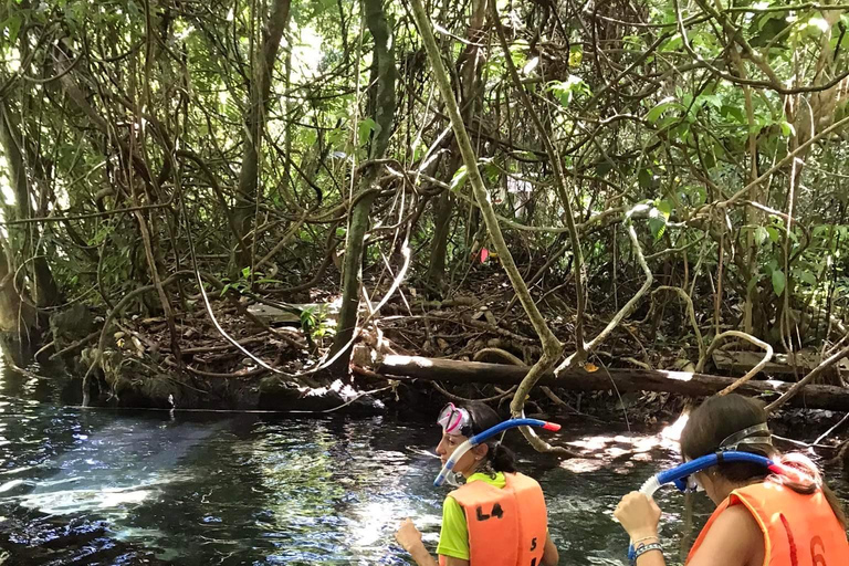 Krabi : Kayak sur l'Amazone Klong Srakaew et nourrissage des éléphants