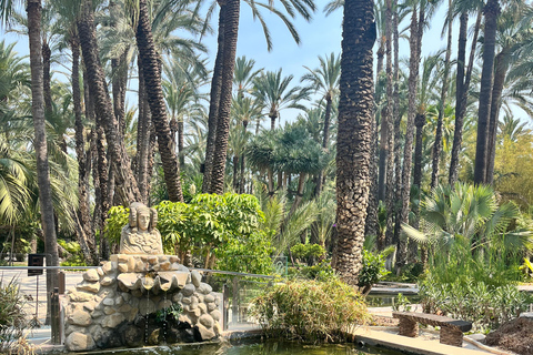 Elche: bilet wstępu do Narodowego Ogrodu Artystycznego Huerto del CuraElche: Bilet wstępu do Narodowego Ogrodu Artystycznego Huerto del Cura