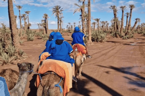 Marrakech: giro in cammello a Palmeraie e hammam