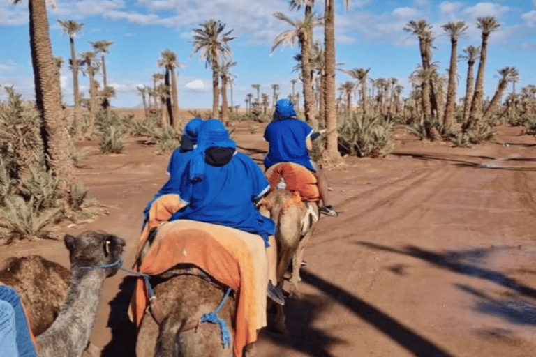 Marrakech : excursion à la palmeraie, tour en chameau et spa