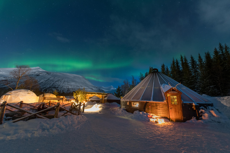 Tromsø: Sami-Kultur, Nordlichter und Rentierfütterung