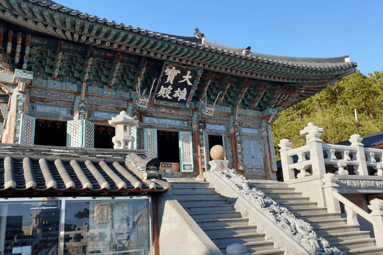 Busan: Highlights Tour with Zipline & Cable Car with Lunch