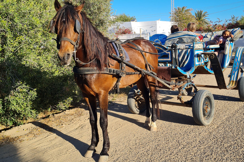 Djerba: Sunset Carriage Ride to Flamingo Island Djerba: Sunset Carriage Ride to Pink Flamingo Island