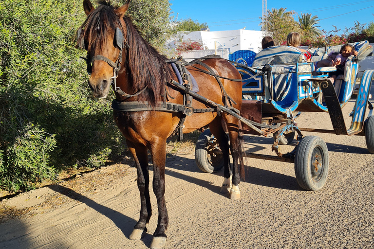 Djerba: Sunset Carriage Ride to Flamingo Island Djerba: Sunset Carriage Ride to Pink Flamingo Island