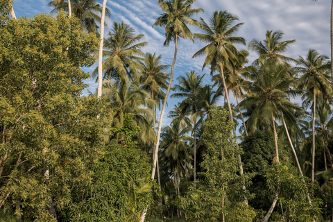 Zanzibar: Fyrhjulingsoffroadäventyr | KiwengwaByupptäcktsresa – utan transfer