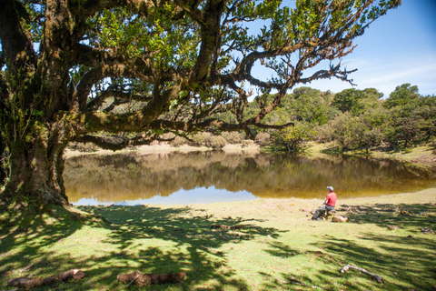 Fanal Assobiadores Trail Machico, Santa Cruz pickup hotels