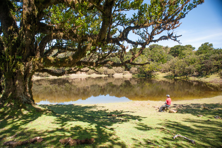Fanal Assobiadores Trail Machico, Santa Cruz pickup hotels