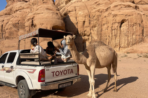 WADI RUM:FULL-DAY DESERT TOUR WITH LOCAL GUIDE, SUNSET & TEA