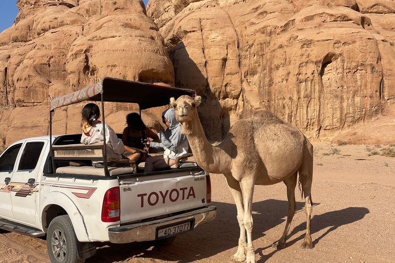 WADI RUM:FULL-DAY DESERT TOUR WITH LOCAL GUIDE, SUNSET & TEA
