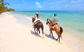  - Canarie.it