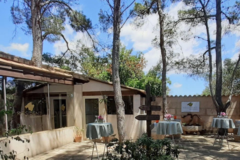 Visite individuelle des vignobles et dégustation de vins