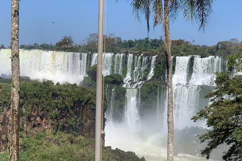 Foz do Iguaçu: Falls, Bird Park, and Macuco Safari Tour