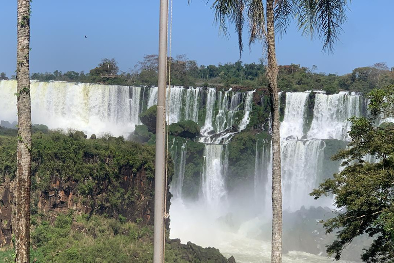 Foz do Iguaçu: Falls, Bird Park, and Macuco Safari Tour