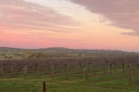 Flinders Ranges - Private All-Inclusive Expedition PRIVATE TOUR