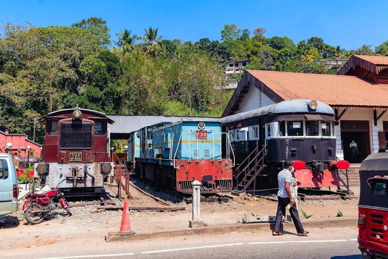 Pinnawala & Tea Factory & Kandy Full Day Tour from Negombo By Private Air Conditioned KDH Flat Roof Van