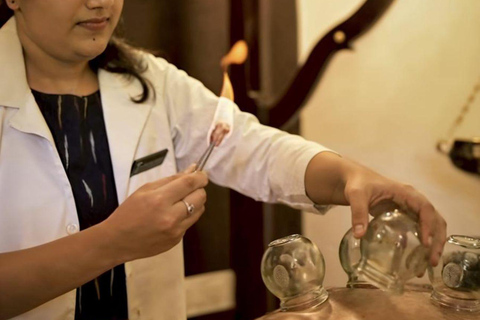 Kochi: Wayanad 2-Day Luxury Wellness Retreat & Safari