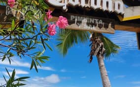  - Canarie.it