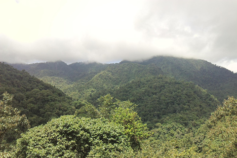 Mindo Cloud Forest: Adventure and NatureMindo - Adventure and nature - private transport