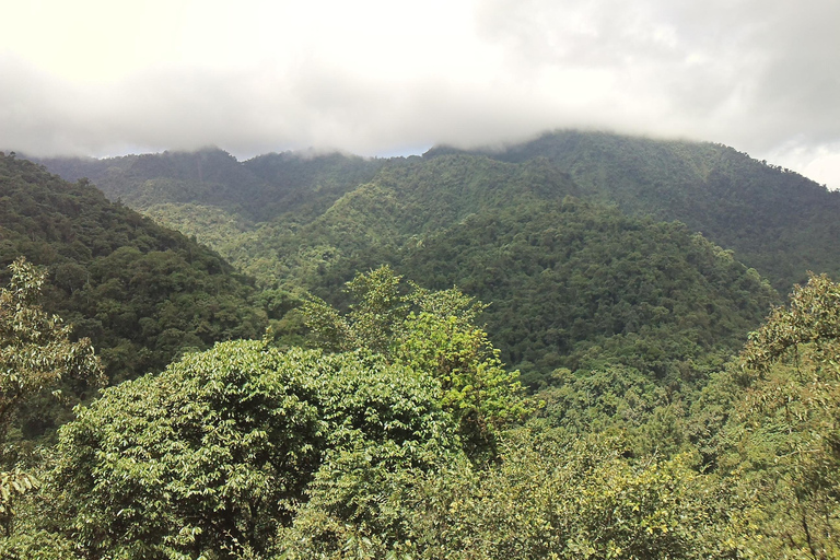 Mindo Cloud Forest: Przygoda i przyrodaMindo cały dzień - Przygoda i przyroda - transport publiczny