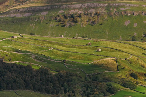 London: Lake District Private Day Trip with Driver